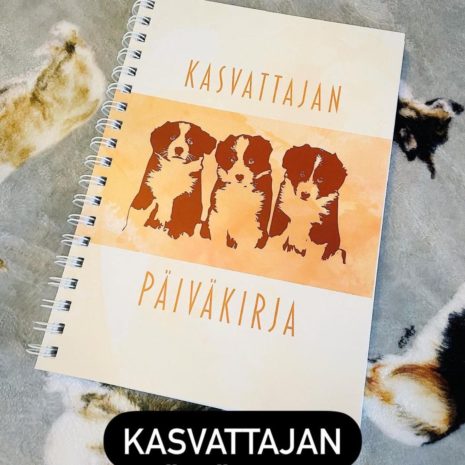 419931004_676878934372039_3083619067668438141_n 419931004_676878934372039_3083619067668438141_n